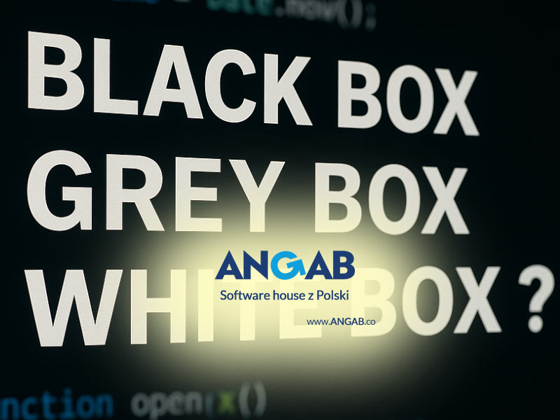 Black Box, White Box, Grey Box – który test penetracyjny wybrać dla Twojej firmy?